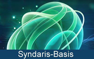 Syndaris Basis Modell